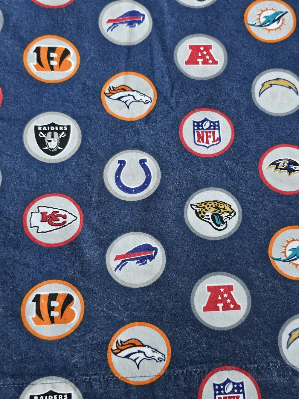 Pottery Barn Teen NFL Twin Sheet Set